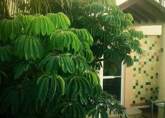 Marisol Boutique Hotel 3*